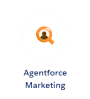 Agentforce Marketing